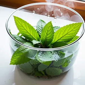 Рецепт Сельдь с мятным гелем и хрустящей киноа - Приготовление мятного геля